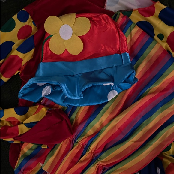 Clown Costumes & Accessories - Picture 7 of 8